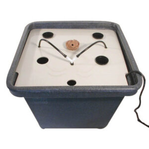 Aerofarm 2'' General Hydroponics  48/72 h.