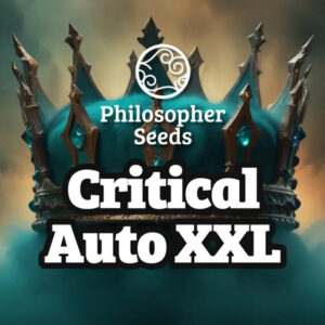 Auto Critical XL 3 u fem Philosopher