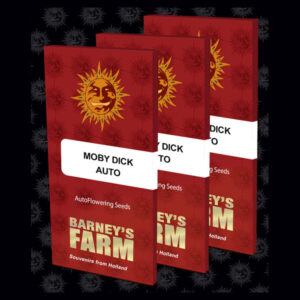 Auto Moby Dick  1 u. fem. Barney's