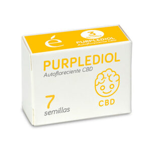 Auto Purplediol CBD 7 u. fem. Elite Seeds