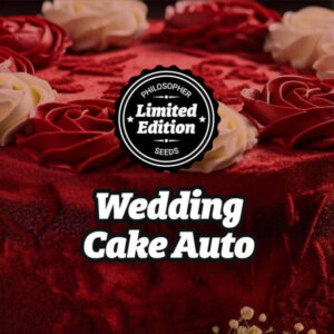 Auto Wedding Cake 5 u fem Philosopher