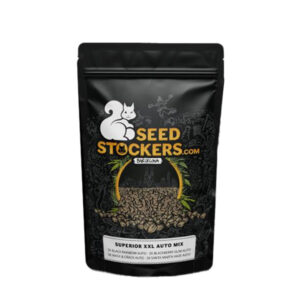 Auto XXL  MIX   12 u. fem. Seedstockers Superior