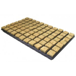 Bandeja Lana Roca 35 x 35 x 40 mm. 77 Alveolos