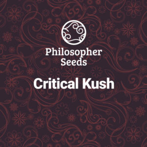 Critical Kush 5 u fem Philosopher