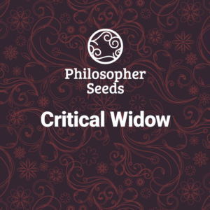 Critical Widow 3 u fem Philosopher