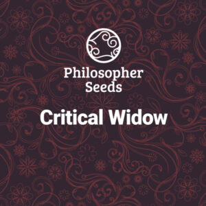 Critical Widow 5 u fem Philosopher