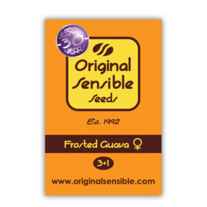 Frosted Guava  3 u. fem. Original Sensible