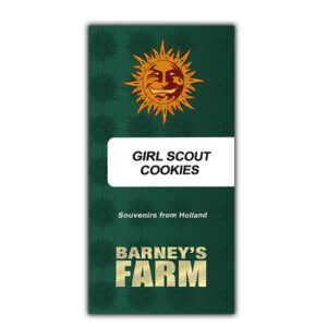 Girl Scout Cookies  1 u. fem. Barney's