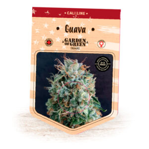 Guava 10 u. fem. Garden of Green Seeds