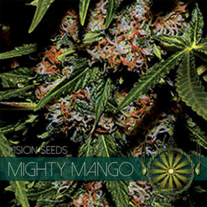 Mighty Mango 3+1 u. fem. Vision Seeds