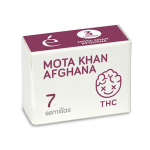 Mota Khan Afghana 7 u. fem. Elite Seeds