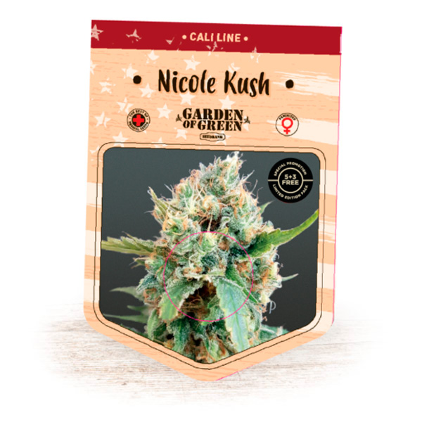 Nicole Kush 1 u. fem. Garden of Green Seeds