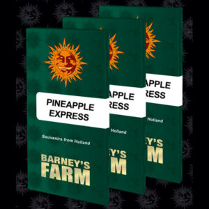 Pineapple Express  5 u. fem. Barney's