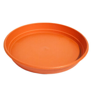 Plato Redondo 34 cm.