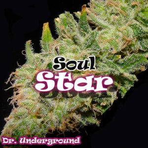 Soul Star 4 u. fem. Dr Underground