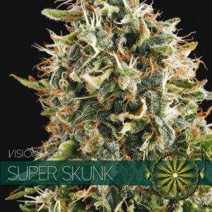 Super Skunk 3+1 u. fem. Vision Seeds