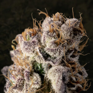 Wedding Crasher Fast  5 ud High Speed Buds