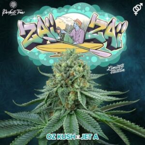 ZAI ZAI 6 u. fem Perfect Tree