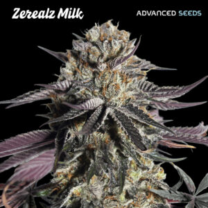 Zerealz Milk   1 u. fem. Advanced Seeds