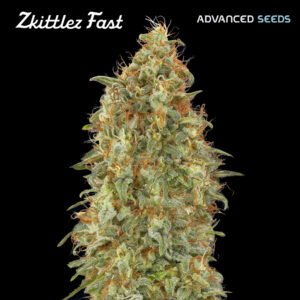 Zkittlez Fast  25 u. fem. Advanced Seeds