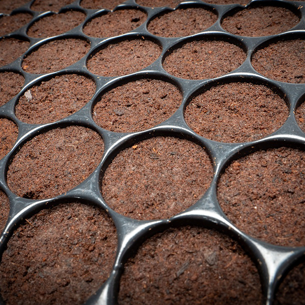 Caja de Bandejas Plugin Pro 150 Alveolos (8 Bandejas) - Imagen 3